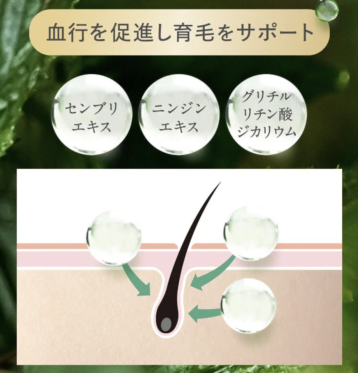 growbio/JYU-KEN/頭皮ローションを使ったクチコミ（3枚目）