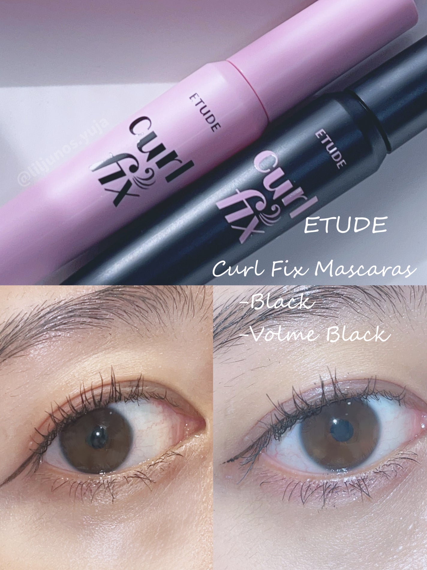 カールフィックスマスカラ/ETUDE/マスカラを使ったクチコミ(1枚目)