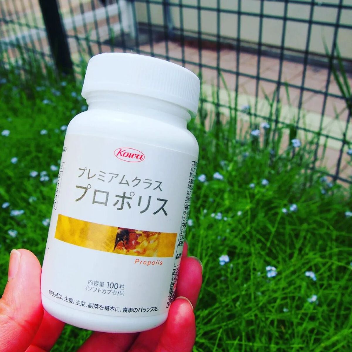 プレミアムクラスプロポリス/コーワ/健康サプリメントを使ったクチコミ(1枚目)