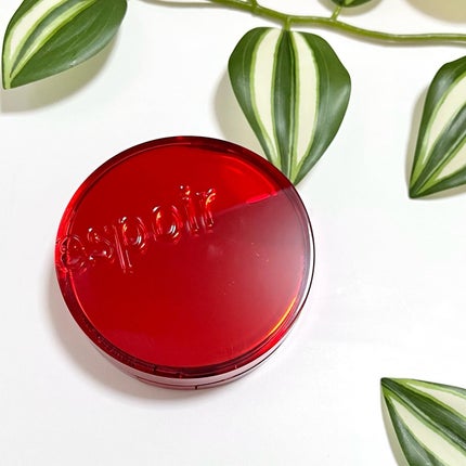 プロテーラービーベルベットカバークッション/espoir/クッションファンデーションを使ったクチコミ(5枚目)