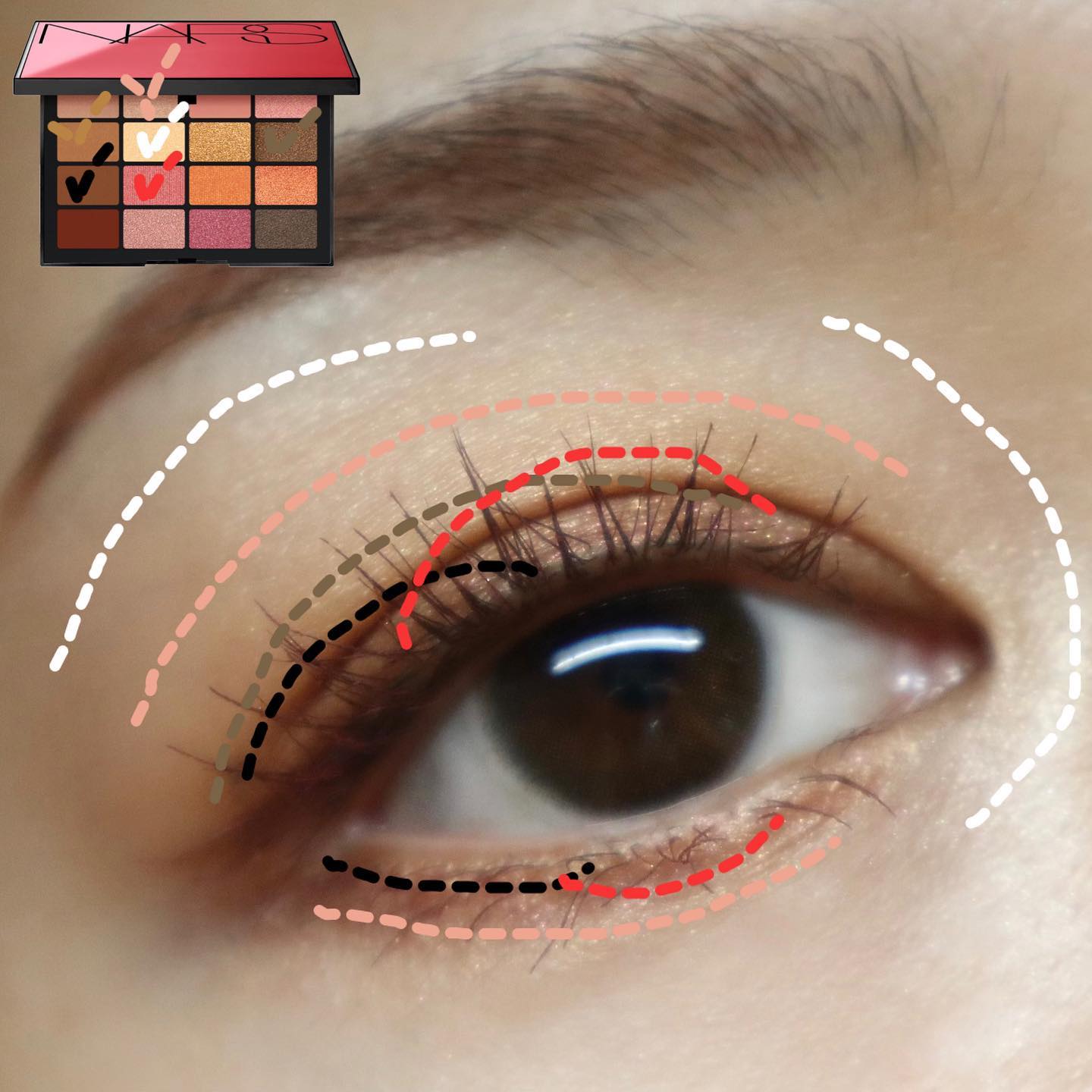 サマーアンレイテッド アイシャドーパレット/NARS/アイシャドウパレットを使ったクチコミ（2枚目）