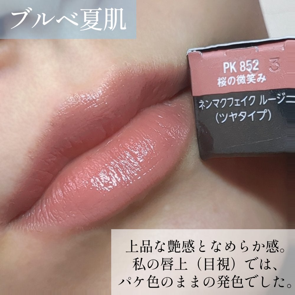 ネンマクフェイク ルージュ/Visée/口紅を使ったクチコミ(3枚目)