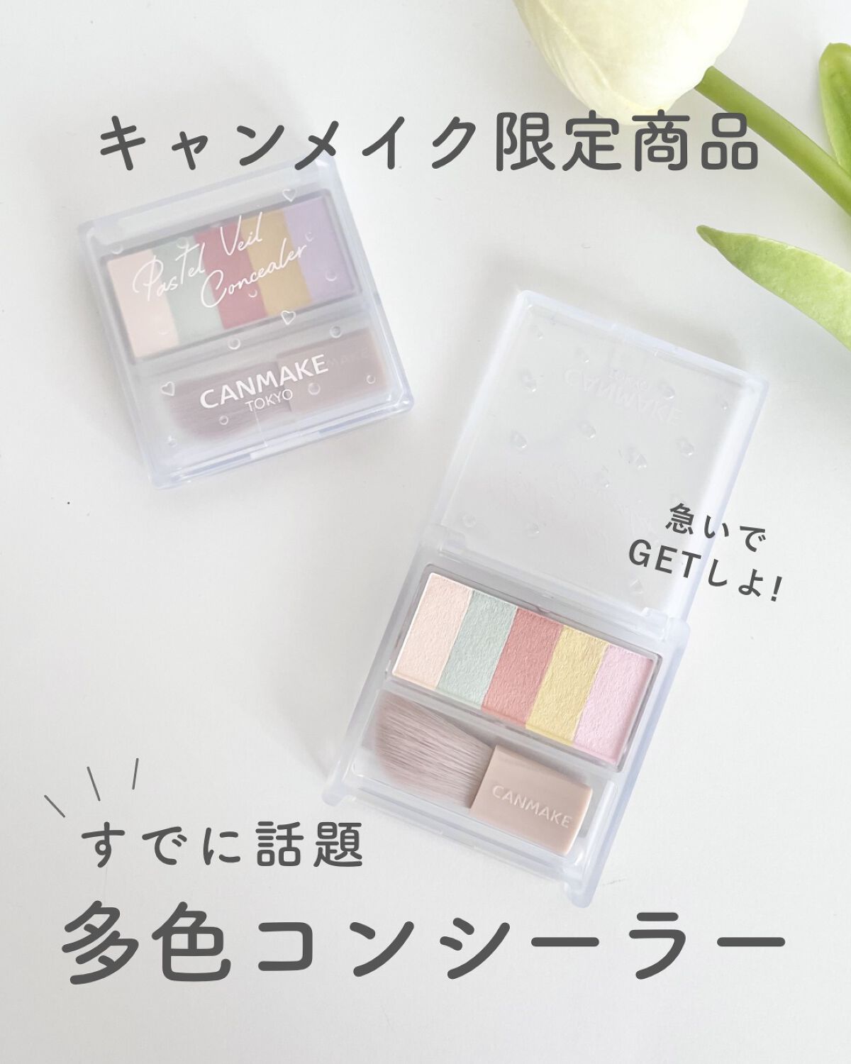 パステルヴェールコンシーラー/キャンメイク/パレットコンシーラーを使ったクチコミ（1枚目）