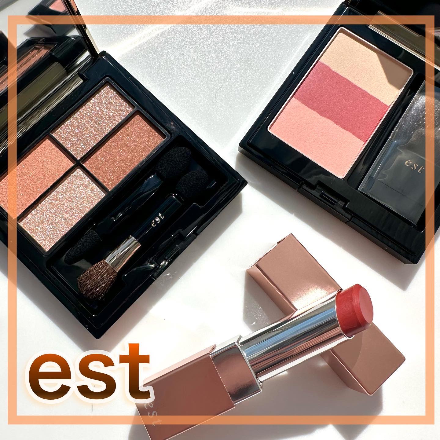 ピュア クラリティ モイスト  リップスティック/est/口紅を使ったクチコミ（1枚目）