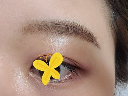 ノーズ&アイブロウパウダー/CEZANNE/パウダーアイブロウを使ったクチコミ(2枚目)