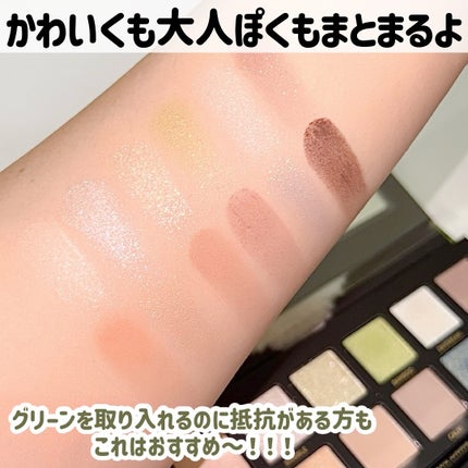 エクスプローラ12色 動物アイシャドウパレット/PERFECT DIARY/アイシャドウパレットを使ったクチコミ(8枚目)