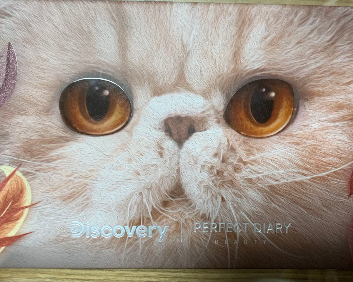 エクスプローラ12色 動物アイシャドウパレット/PERFECT DIARY/アイシャドウパレットを使ったクチコミ(1枚目)