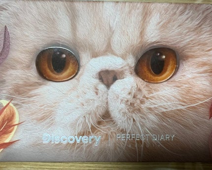 エクスプローラ12色 動物アイシャドウパレット/PERFECT DIARY/アイシャドウパレットを使ったクチコミ(1枚目)