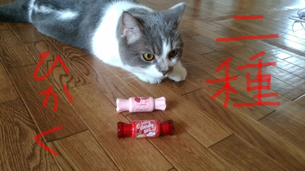 ジェリー キャンディー ティント/the SAEM/リップティントを使ったクチコミ（1枚目）