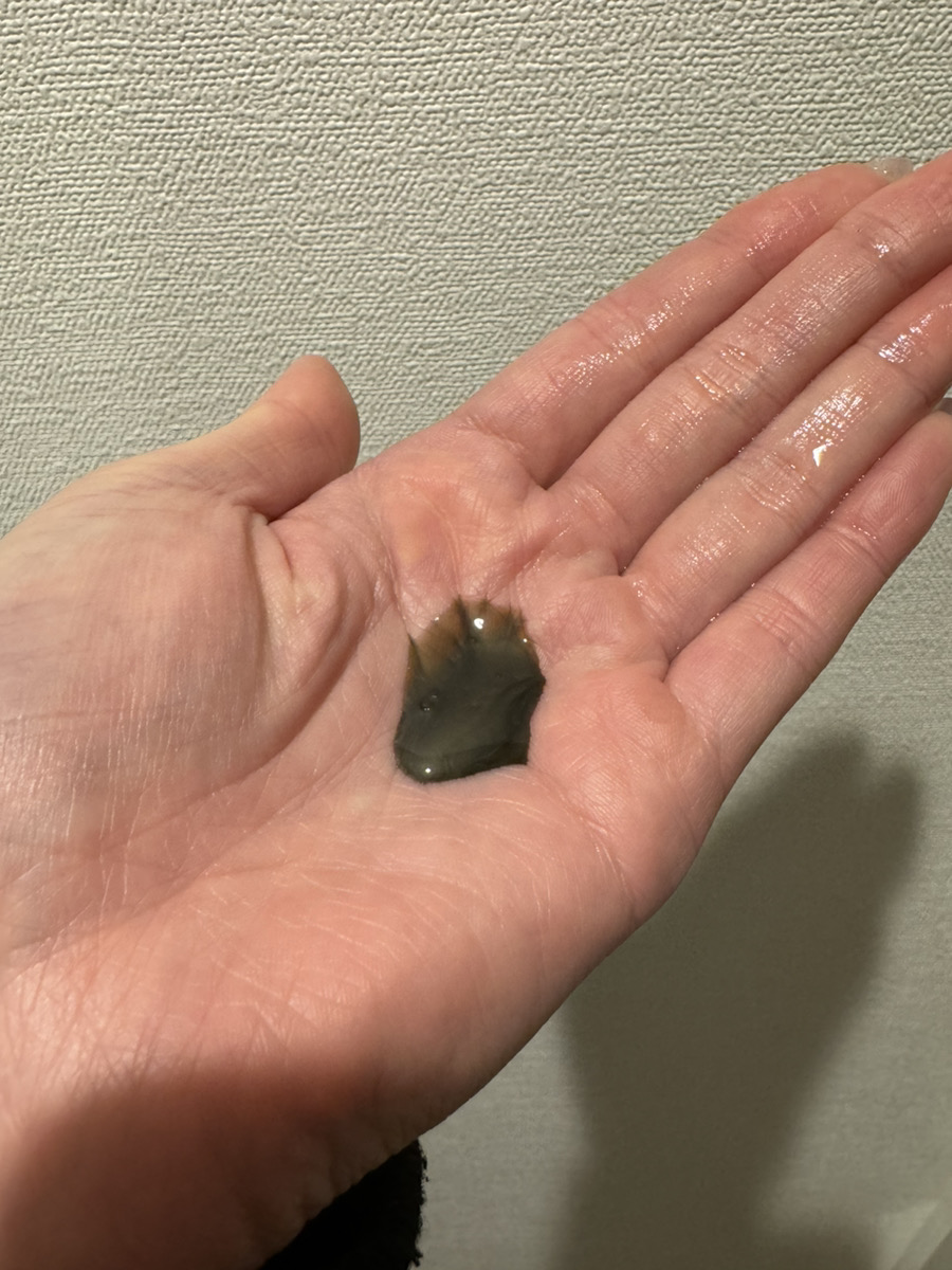 カラーシャンプー/ROYD/市販シャンプーを使ったクチコミ（2枚目）