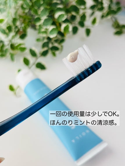 NOILA S Thoothpaste/NOILA/歯磨き粉を使ったクチコミ(5枚目)