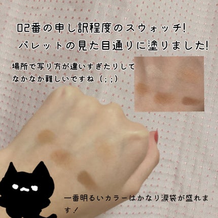 パーフェクトマルチアイズ/キャンメイク/アイシャドウパレットを使ったクチコミ(4枚目)