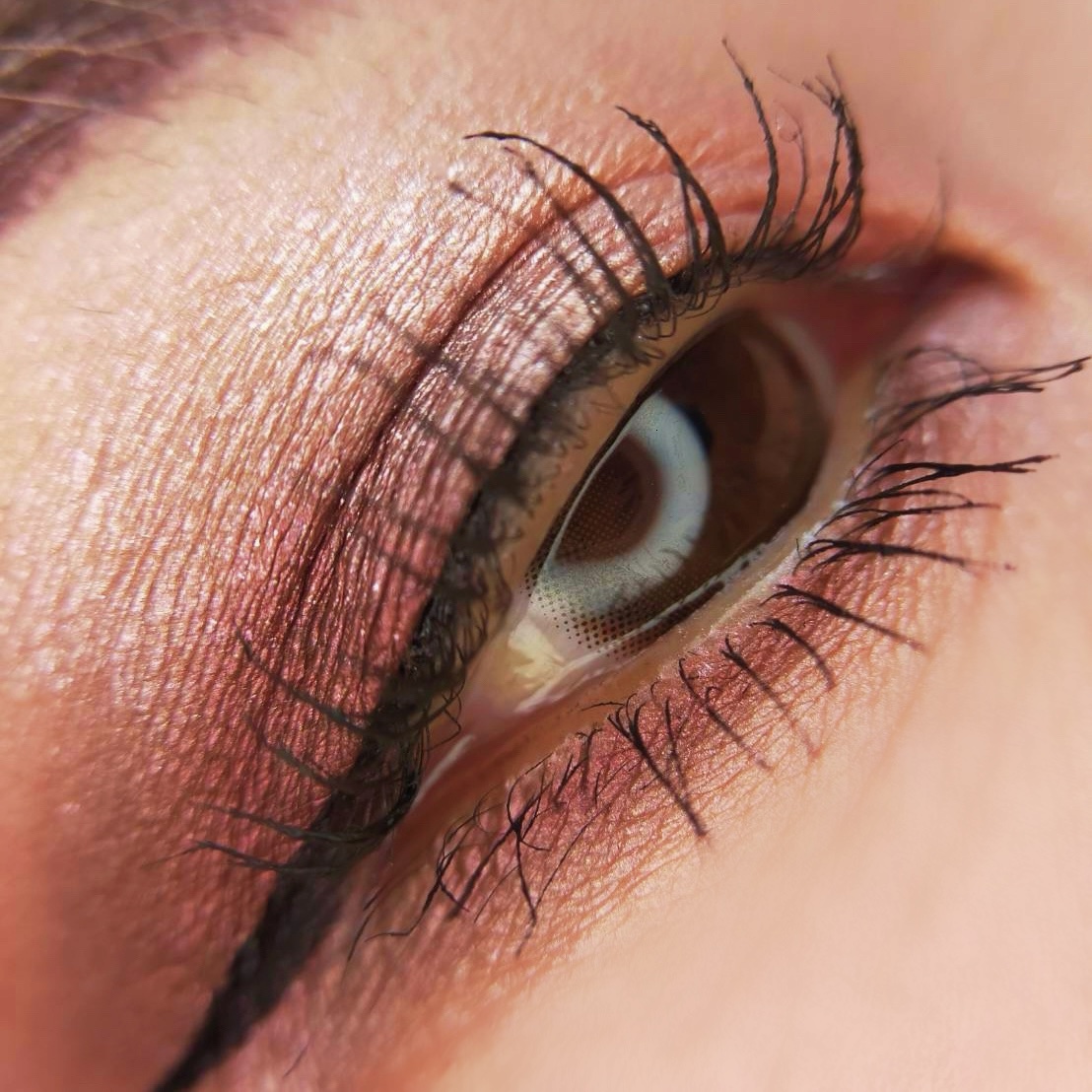 コネクト イン カラー アイシャドウ パレット × 6 ローズ レンズ/M・A・C/アイシャドウパレットを使ったクチコミ（3枚目）