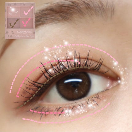 シルキースフレアイズ(マットタイプ)/キャンメイク/アイシャドウパレットを使ったクチコミ(6枚目)