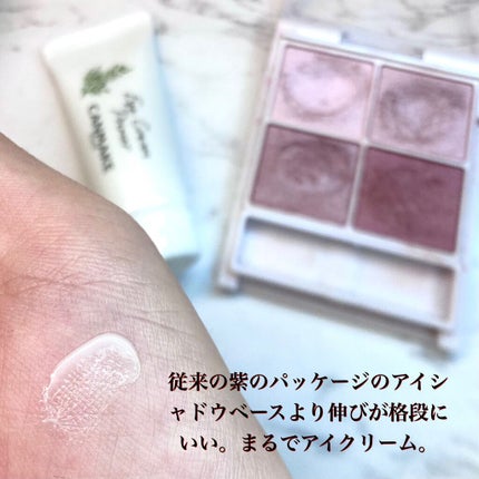 ラスティングマルチアイベース WP/キャンメイク/アイシャドウベースを使ったクチコミ(2枚目)