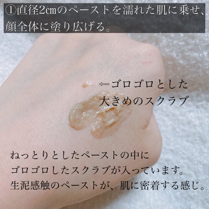 スクラビング マッド ウォッシュ/KANEBO/洗顔フォームを使ったクチコミ(3枚目)