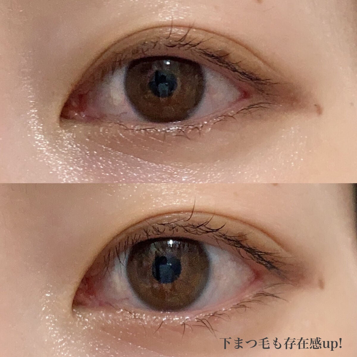 ラッシュジェリードロップ EX/MAJOLICA MAJORCA/まつげ美容液を使ったクチコミ(6枚目)