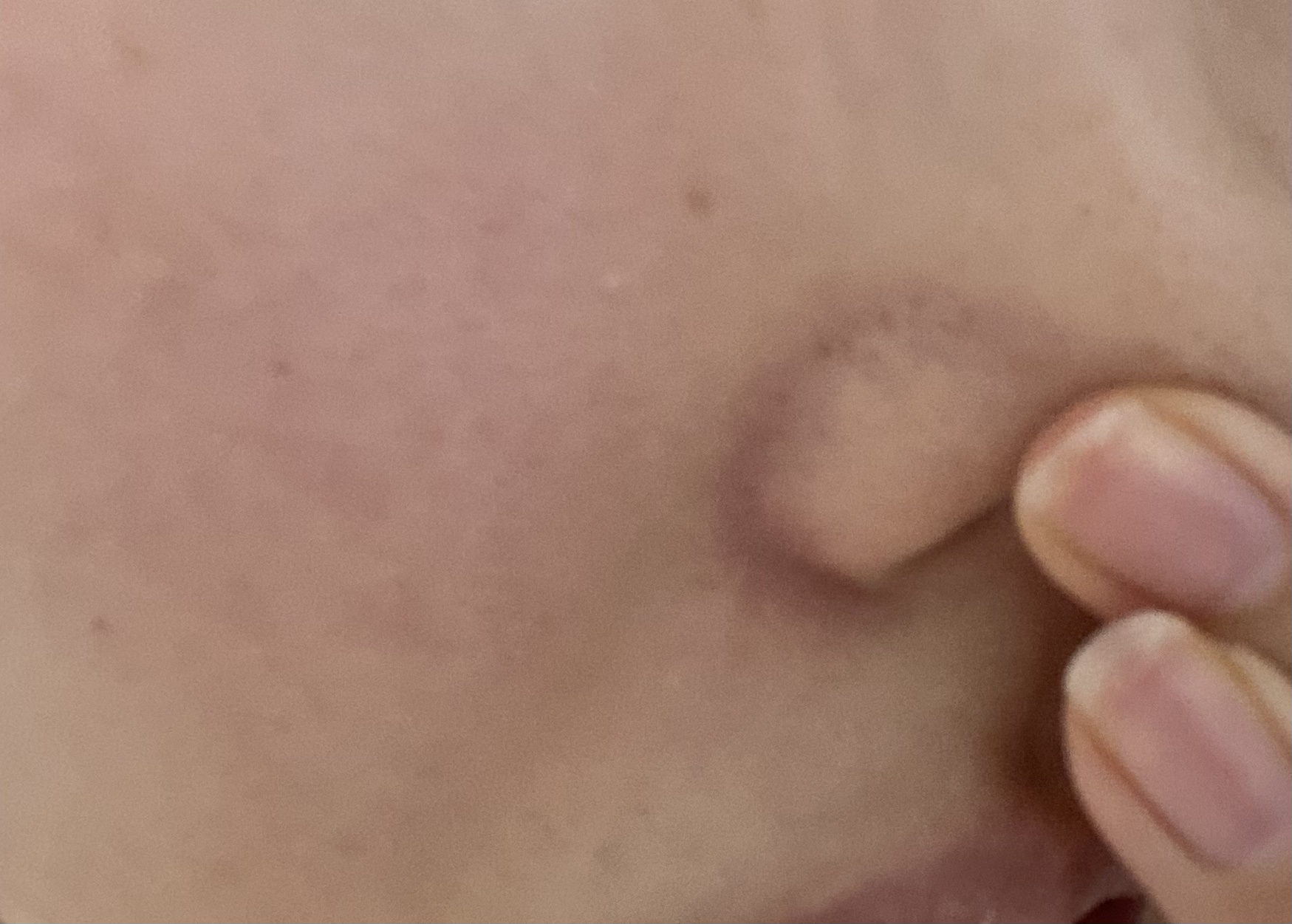 ネーミング フラッフィーパウダーブラッシュ/NAMING./パウダーチークを使ったクチコミ（3枚目）