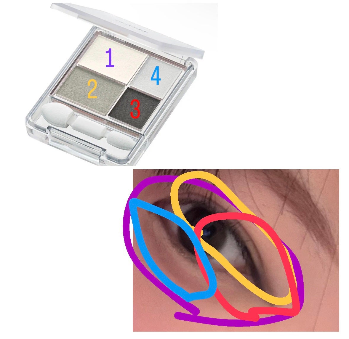 グラデーション アイシャドウ/ちふれ/アイシャドウパレットを使ったクチコミ(2枚目)