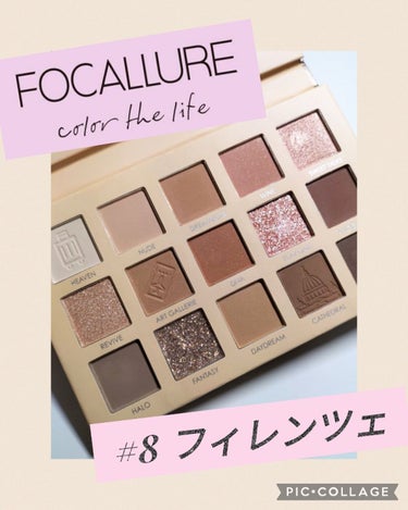 GO TRAVEL 15色アイシャドウパレット/FOCALLURE/アイシャドウパレットを使ったクチコミ（1枚目）