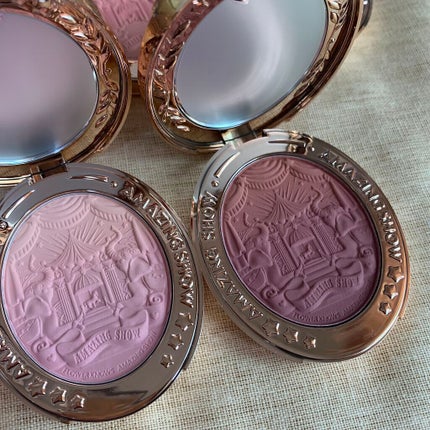 サーカスシリーズ グラデーションブラッシュ /FlowerKnows/パウダーチークを使ったクチコミ(10枚目)