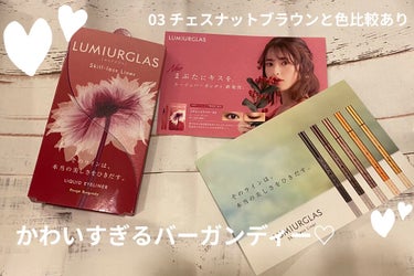 スキルレスライナー/LUMIURGLAS/リキッドアイライナーを使ったクチコミ（1枚目）