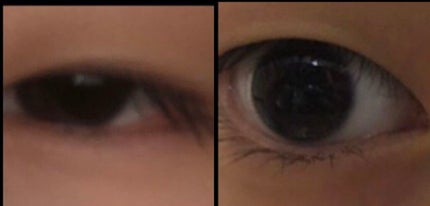 ローヤルゼリー配合 栄養ローション/DAISO/美容液を使ったクチコミ(2枚目)