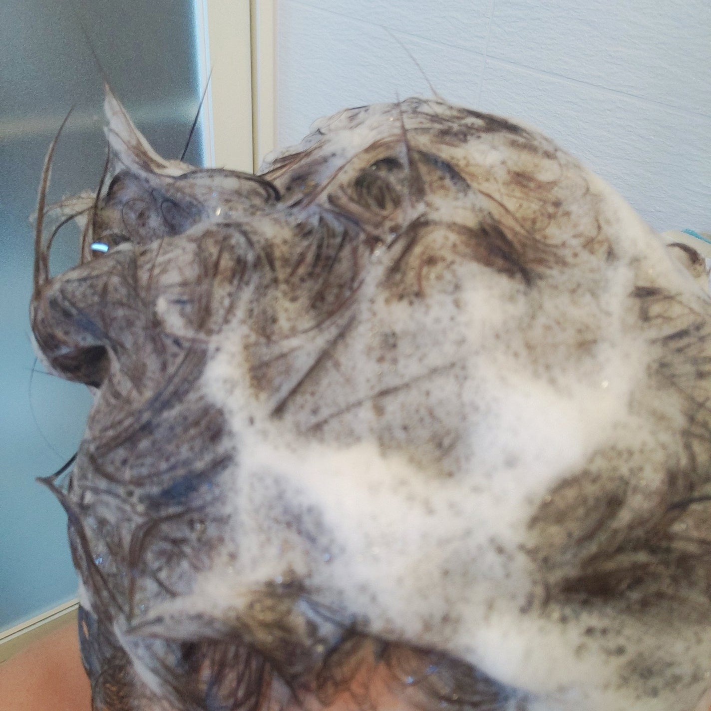 リラックス × うるつや シャンプー/トリートメント/h&s/市販シャンプーを使ったクチコミ(3枚目)