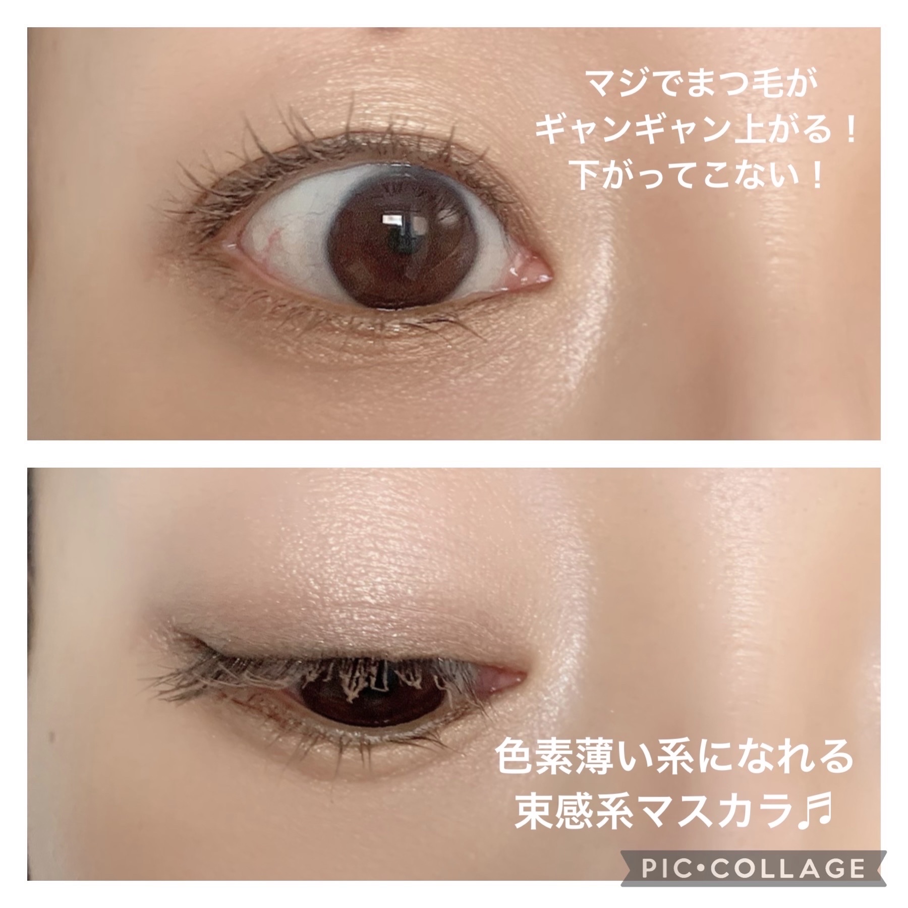 クイックラッシュカーラー MG モカグレージュ/キャンメイク/マスカラ下地を使ったクチコミ（3枚目）