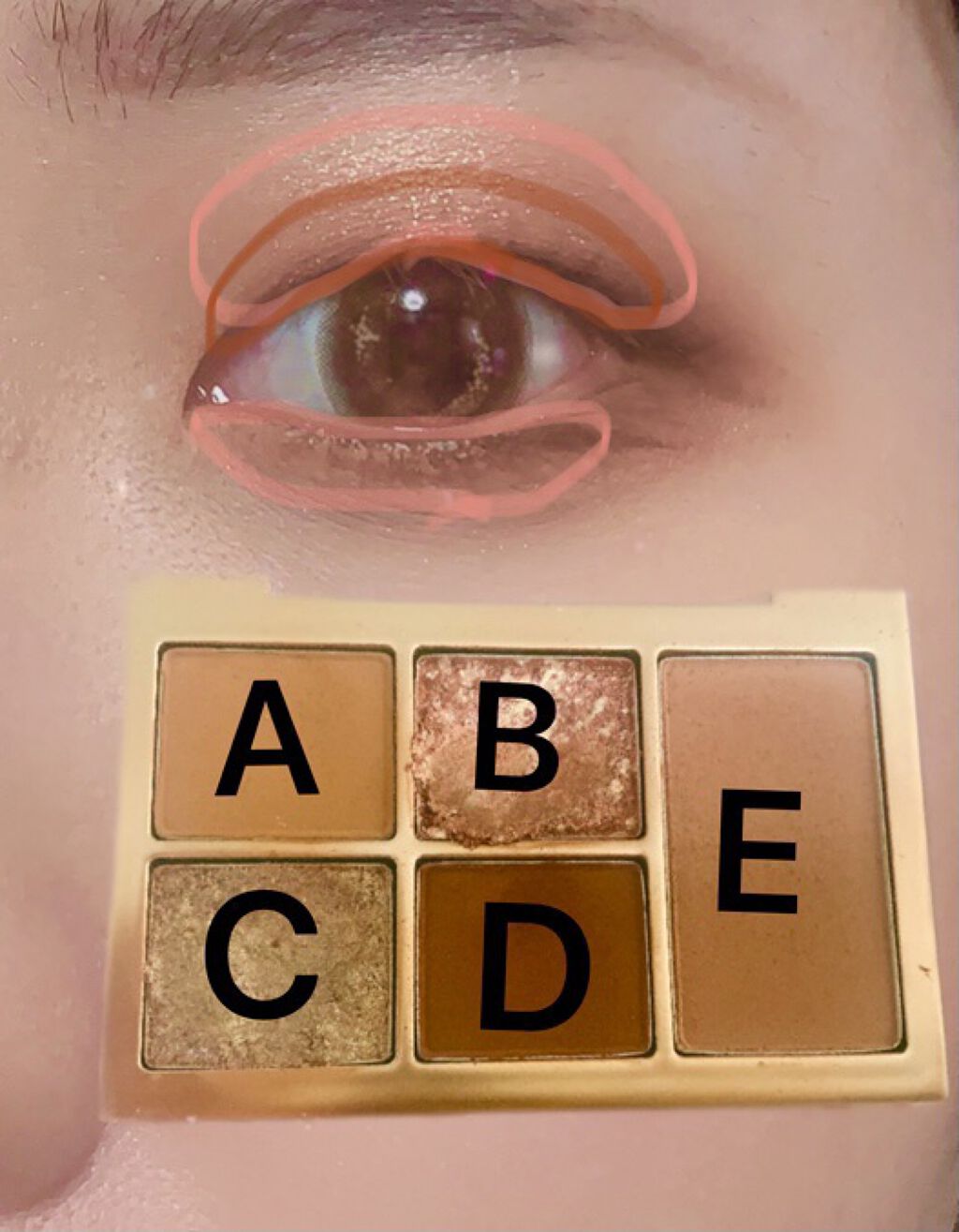 MISSHA イージー フィルター シャドウパレット/MISSHA/アイシャドウパレットを使ったクチコミ（3枚目）