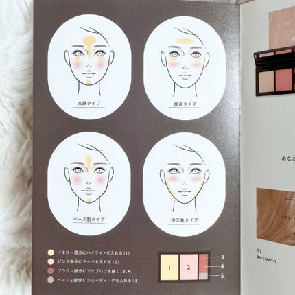 フィット my カラーパレット/STEIASUR(ステイアシュール)/マルチパレットを使ったクチコミ(4枚目)