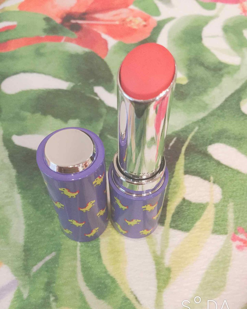 ディアマイ グロッシーティントリップトーク/ETUDE/リップグロスを使ったクチコミ（1枚目）