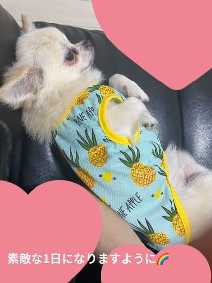 Slowbliss Herbwater oil 1/Slowbliss/美容液を使ったクチコミ(5枚目)