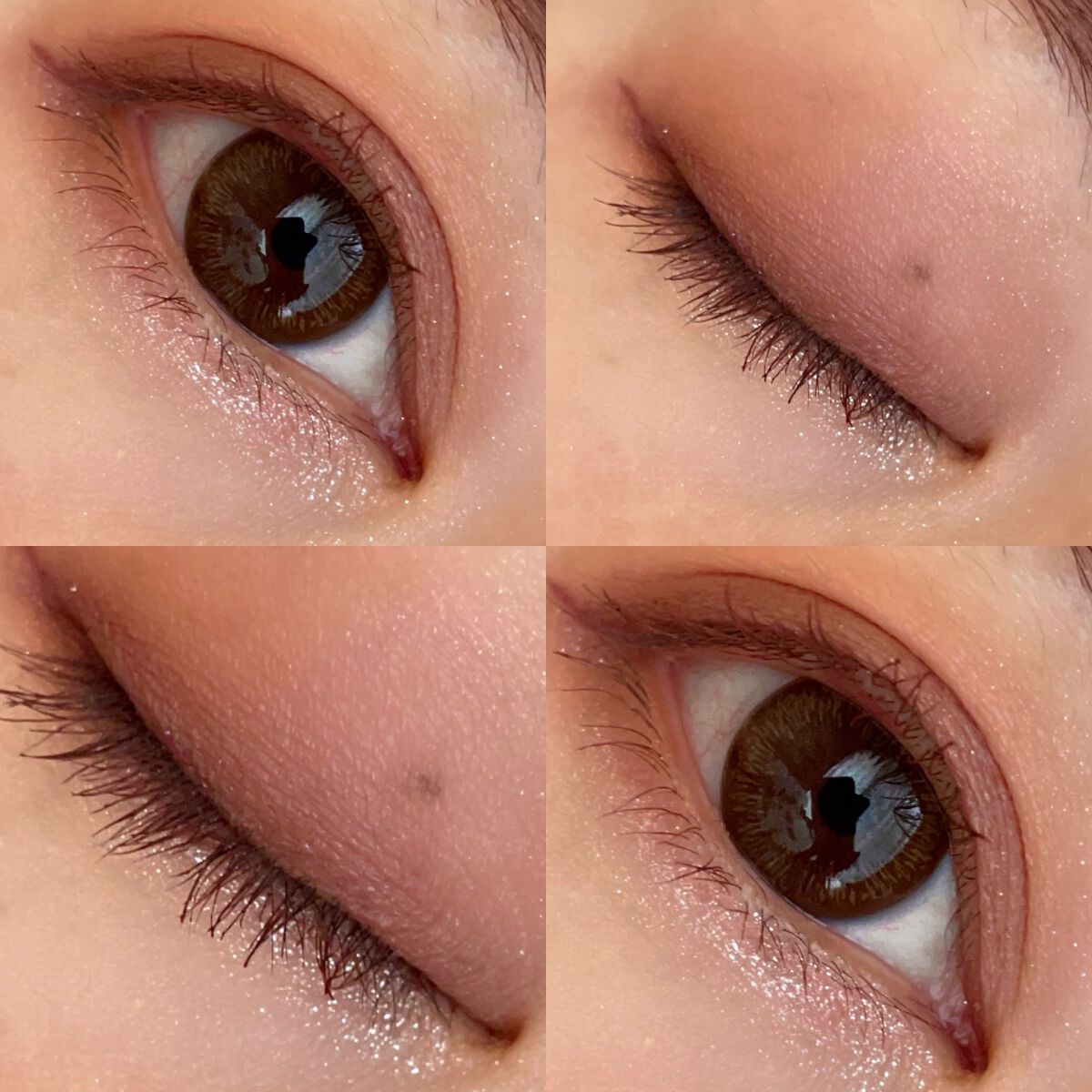 ウォンジョンヨ W デイリームードアップパレット /Wonjungyo/アイシャドウパレットを使ったクチコミ(2枚目)