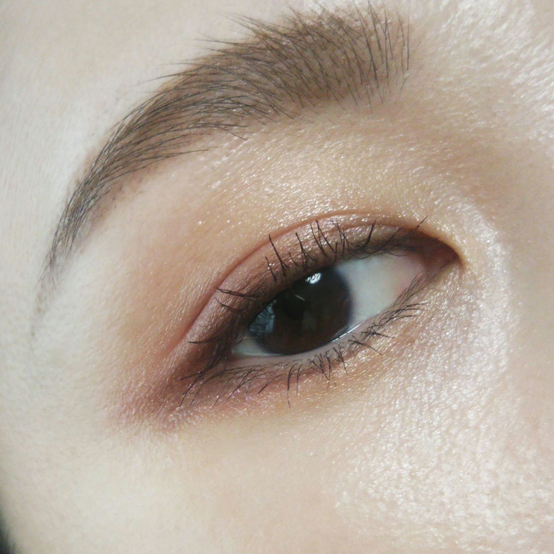 ロングUPマスカラ スーパーWP 51 ダークブリック/ヒロインメイク/マスカラを使ったクチコミ（2枚目）