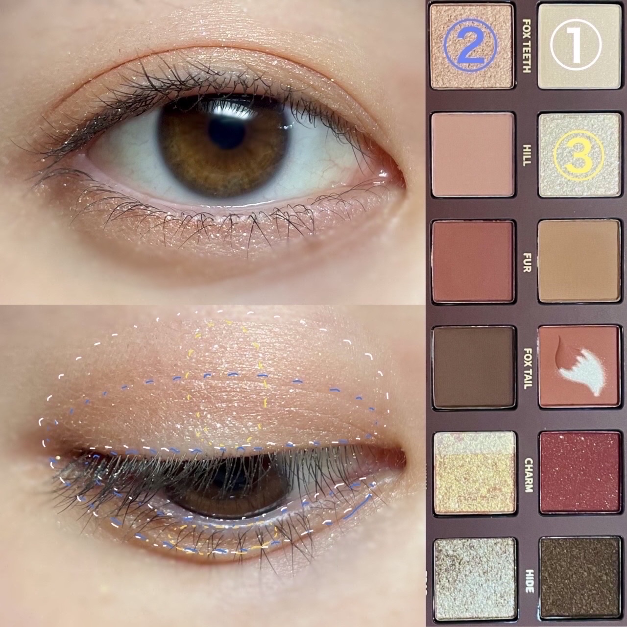 エクスプローラ12色 動物アイシャドウパレット/PERFECT DIARY/アイシャドウパレットを使ったクチコミ（3枚目）