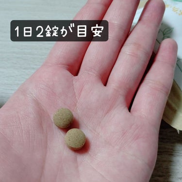 ハブ茶エキス錠 /森覚貫誠堂/健康サプリメントを使ったクチコミ（3枚目）