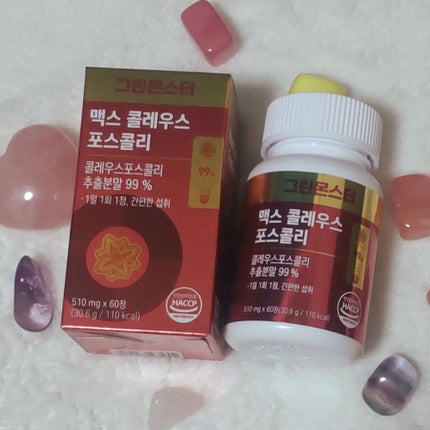 マックスコレウスフォルスコリ / グリーンモンスター