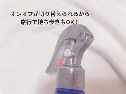 モイスチャーライジング&リペアブースター 導入液ヘアミスト/エイトザタラソ/ヘアミストを使ったクチコミ(3枚目)