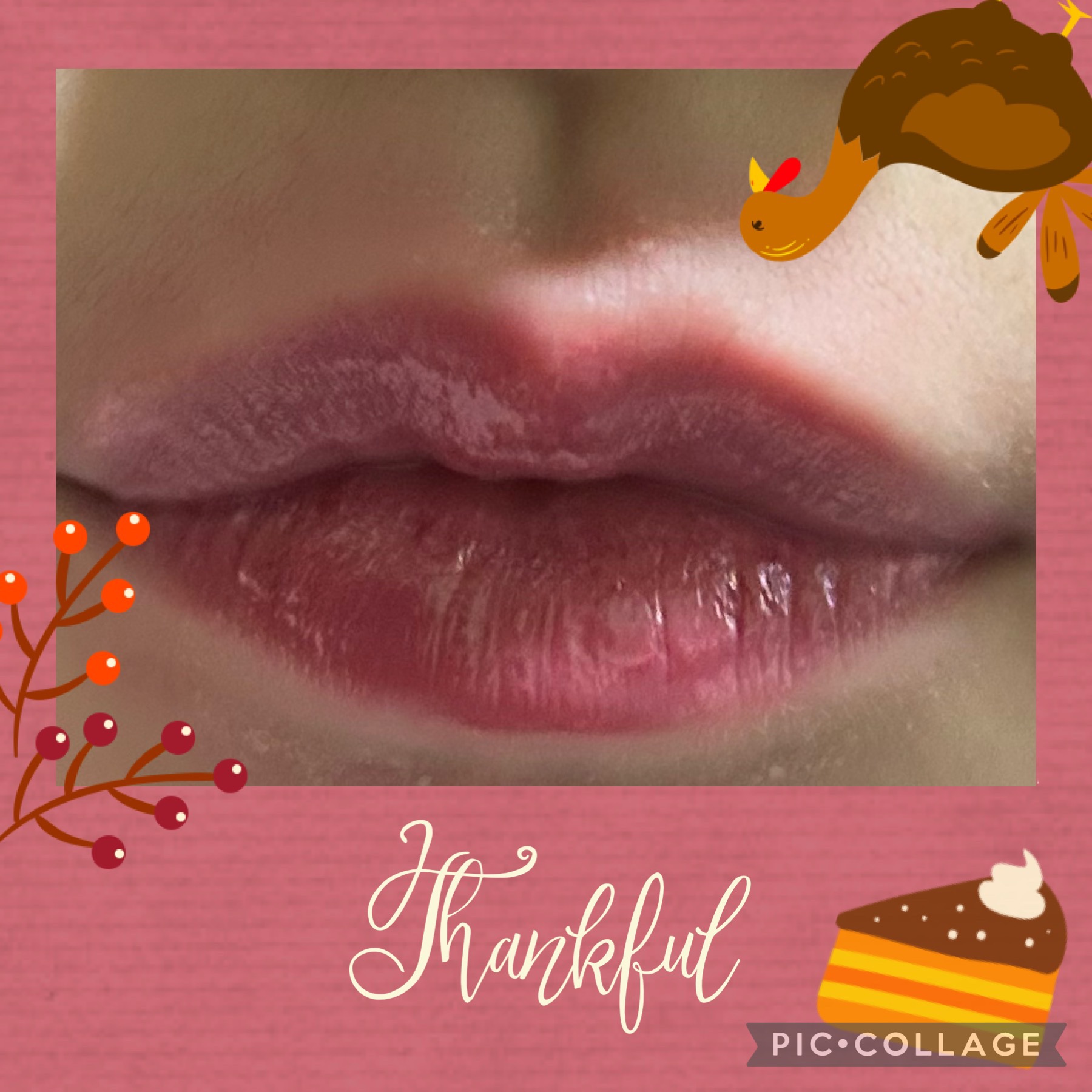 パウダーチークス/キャンメイク/パウダーチークを使ったクチコミ（3枚目）