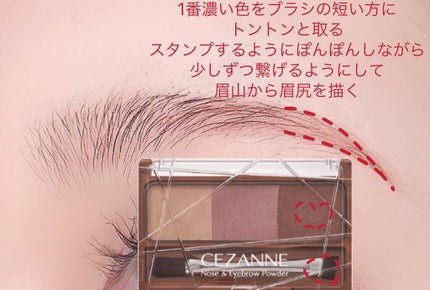 ノーズ&アイブロウパウダー/CEZANNE/パウダーアイブロウを使ったクチコミ(2枚目)