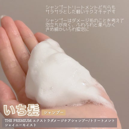 THE PREMIUM ãšã¯ã¹ãã©ãã¡ãŒãžã±ã¢ã·ã£ã³ããŒïŒããªãŒãã¡ã³ãïŒã·ã£ã€ããŒã¢ã€ã¹ãïŒ/ãã¡é«ª/åžè²©ã·ã£ã³ããŒã䜿ã£ãã¯ãã³ãïŒ5æç®ïŒ