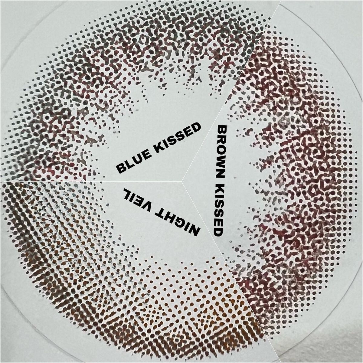 VNTUS 1day/VNTUS/ワンデー(1DAY)カラコンを使ったクチコミ(3枚目)