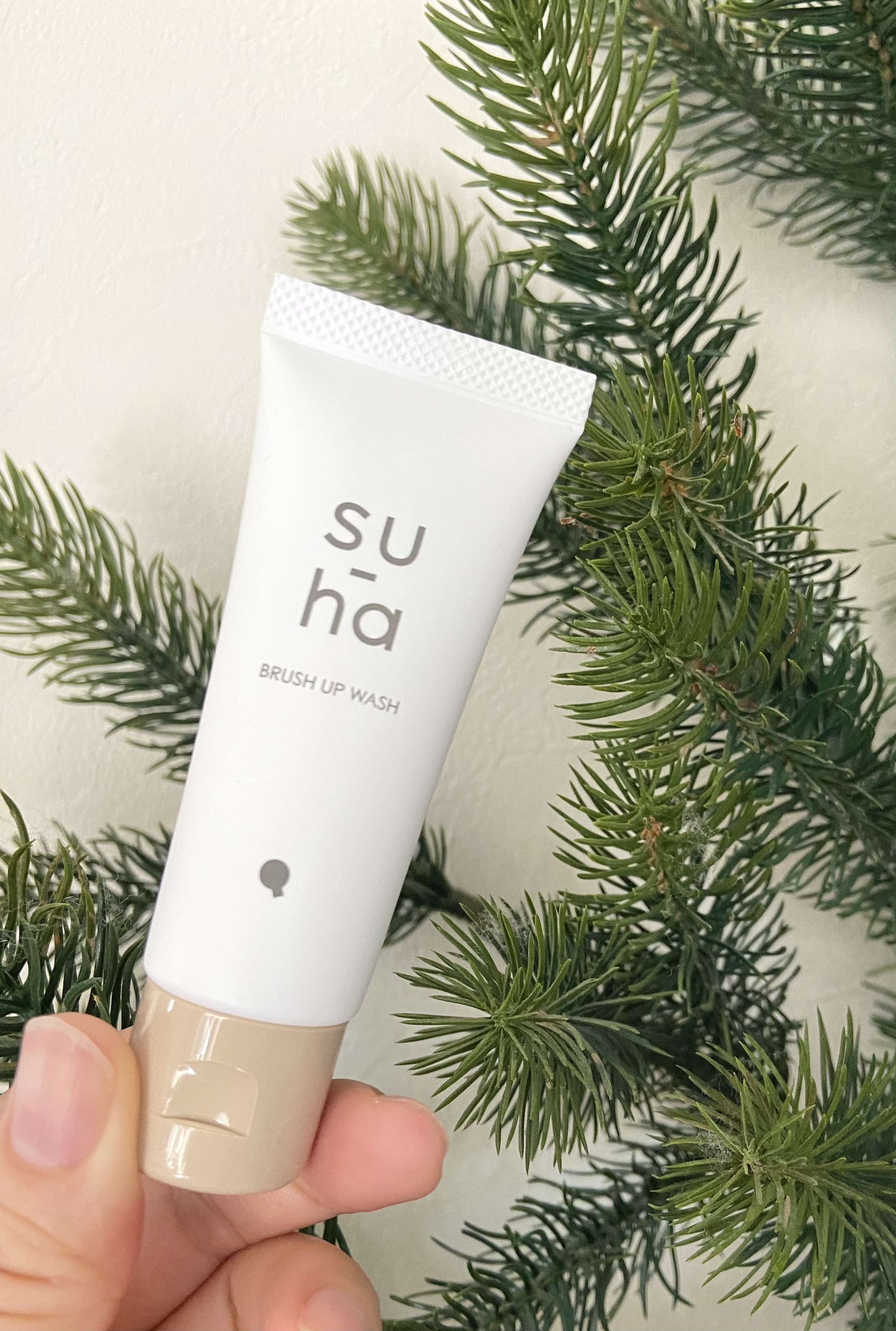 ブラッシュアップウォッシュ/su-ha/洗顔フォームを使ったクチコミ（1枚目）