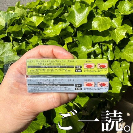 ケイト リップモンスターカラートナー/KATE/口紅を使ったクチコミ(2枚目)