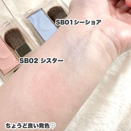 シームレストーン ブラッシュ/excel/パウダーチークを使ったクチコミ(9枚目)
