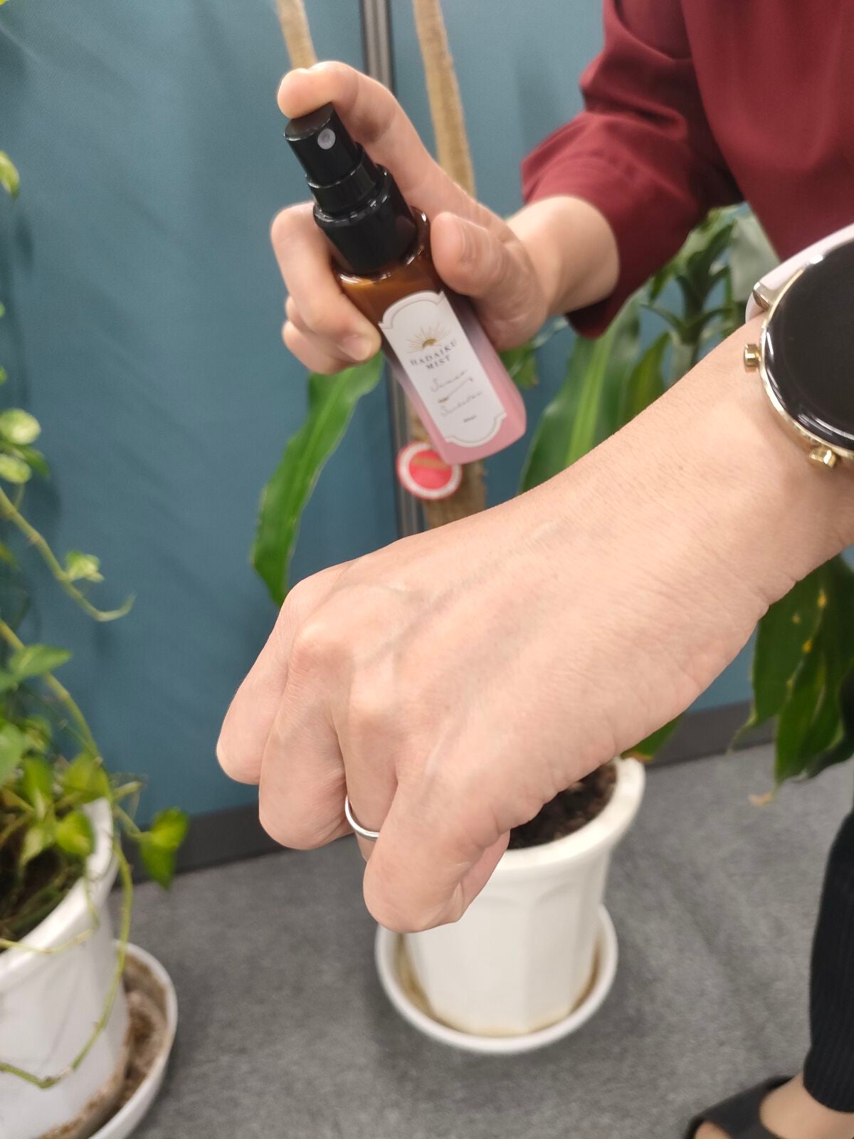 肌育ミスト/素直生活/ミスト状化粧水を使ったクチコミ(1枚目)