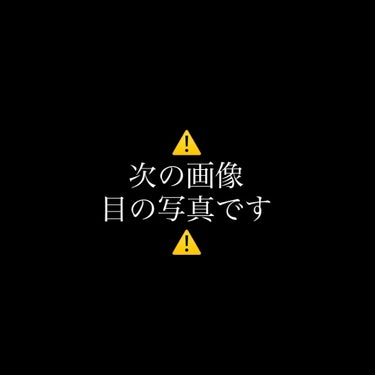 プロ アイ パレット/CLIO/アイシャドウパレットを使ったクチコミ（5枚目）