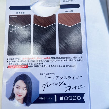 ホイップヘアカラー グレイッシュネイビー/ビューティラボ/ヘアカラーの画像