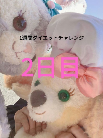 ちゅうに on LIPS 「1週間ダイエットチャレンジ2日目です!今日の体重は≡(((卍*..」(1枚目)